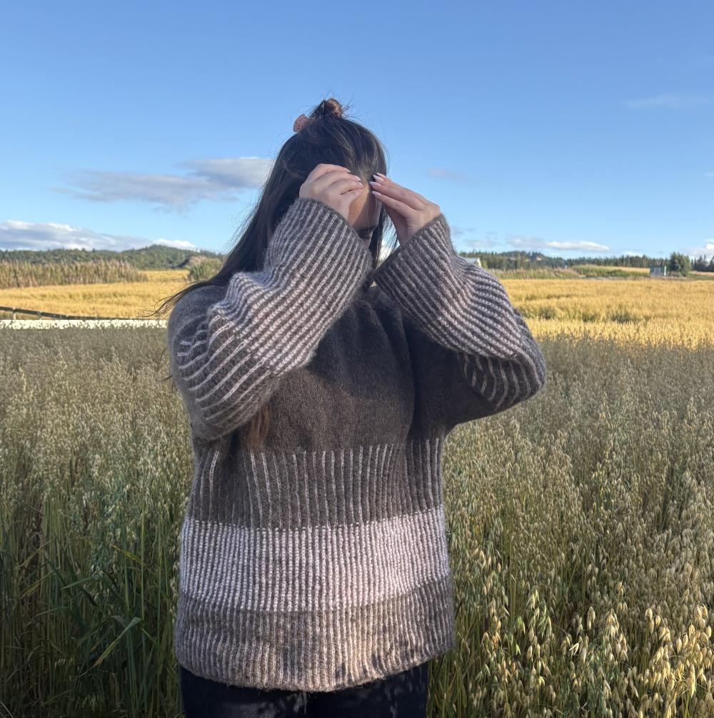 Bilde av oppskrift