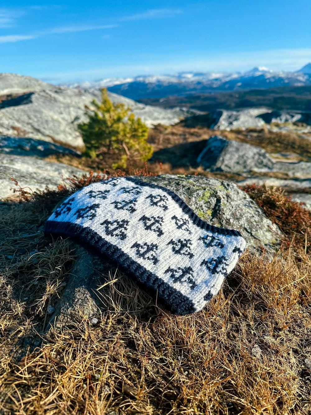 Bilde av oppskrift